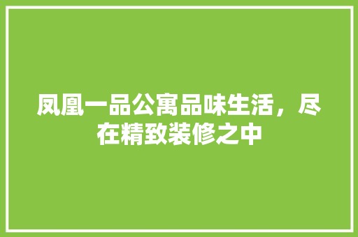 凤凰一品公寓品味生活，尽在精致装修之中