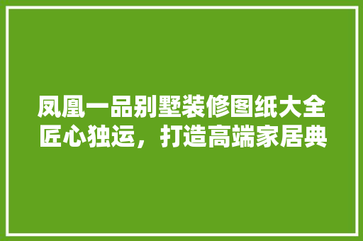 凤凰一品别墅装修图纸大全匠心独运，打造高端家居典范