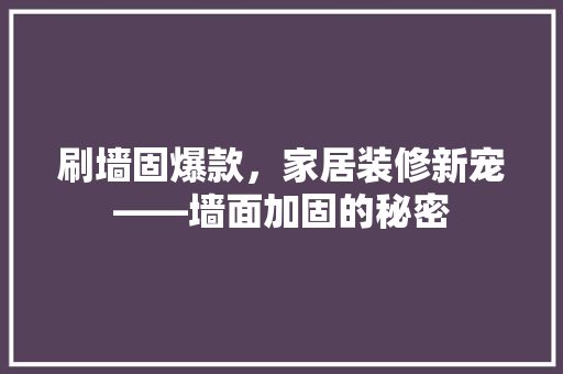 刷墙固爆款，家居装修新宠——墙面加固的秘密
