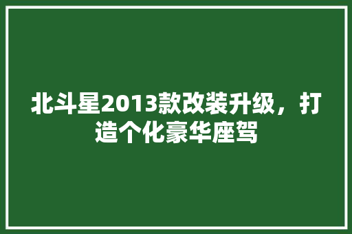 北斗星2013款改装升级，打造个化豪华座驾