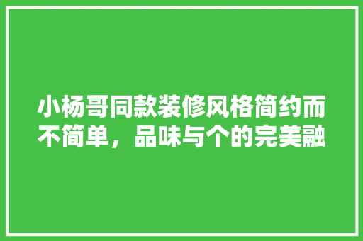 小杨哥同款装修风格简约而不简单，品味与个的完美融合