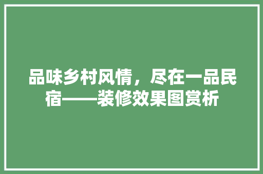 品味乡村风情，尽在一品民宿——装修效果图赏析