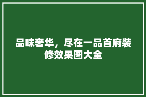 品味奢华，尽在一品首府装修效果图大全