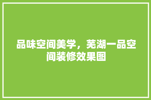 品味空间美学，芜湖一品空间装修效果图