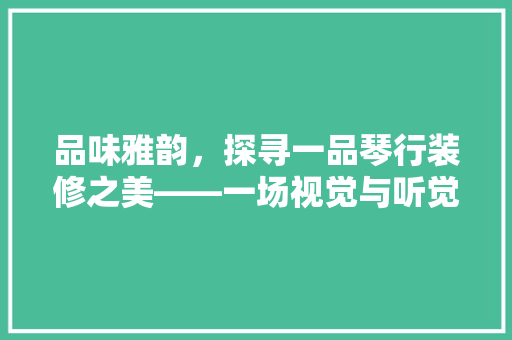 品味雅韵，探寻一品琴行装修之美——一场视觉与听觉的盛宴