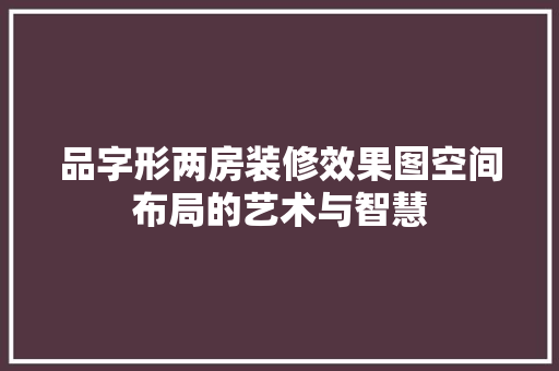 品字形两房装修效果图空间布局的艺术与智慧