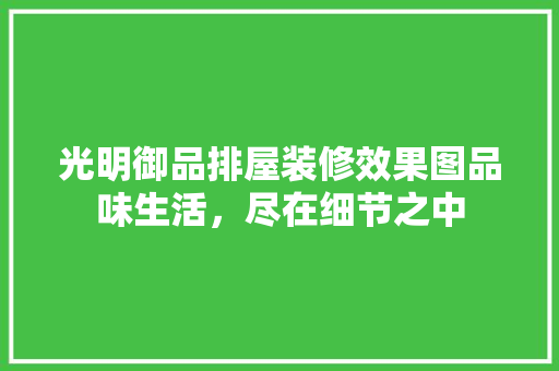 光明御品排屋装修效果图品味生活，尽在细节之中