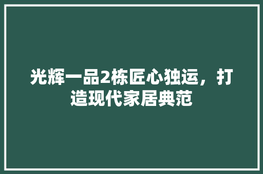 光辉一品2栋匠心独运，打造现代家居典范