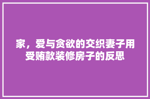 家，爱与贪欲的交织妻子用受贿款装修房子的反思
