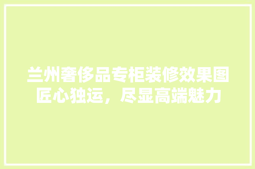 兰州奢侈品专柜装修效果图匠心独运，尽显高端魅力