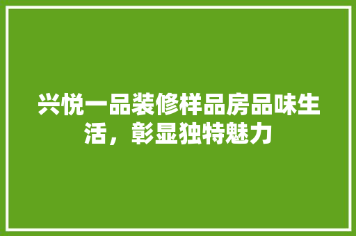 兴悦一品装修样品房品味生活，彰显独特魅力