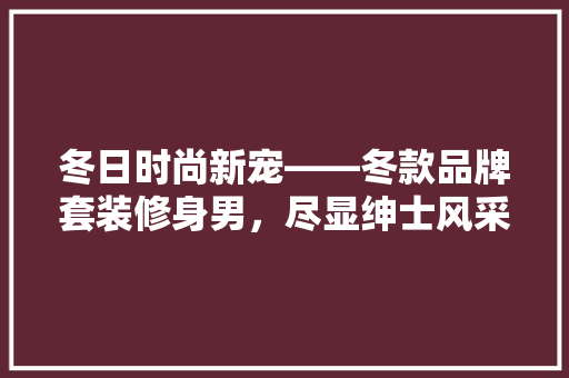 冬日时尚新宠——冬款品牌套装修身男，尽显绅士风采