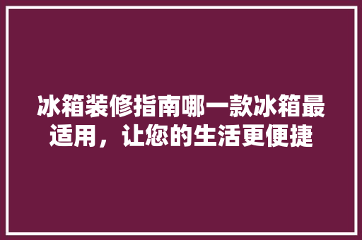 冰箱装修指南哪一款冰箱最适用，让您的生活更便捷
