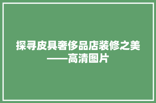 探寻皮具奢侈品店装修之美——高清图片