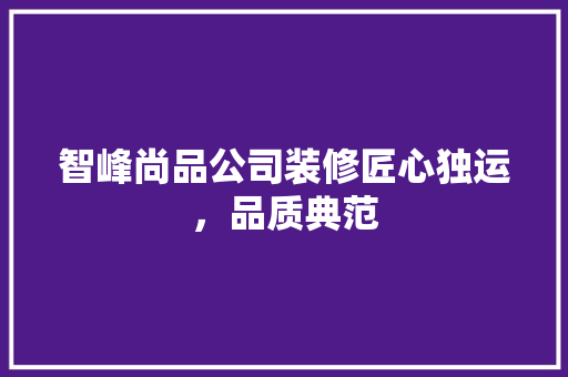 智峰尚品公司装修匠心独运，品质典范