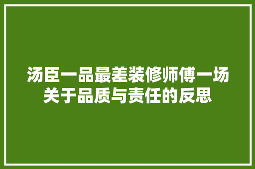 汤臣一品最差装修师傅一场关于品质与责任的反思