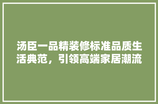 汤臣一品精装修标准品质生活典范，引领高端家居潮流