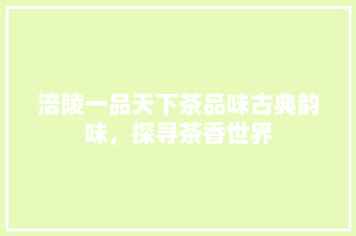 涪陵一品天下茶品味古典韵味，探寻茶香世界