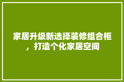 家居升级新选择装修组合柜，打造个化家居空间