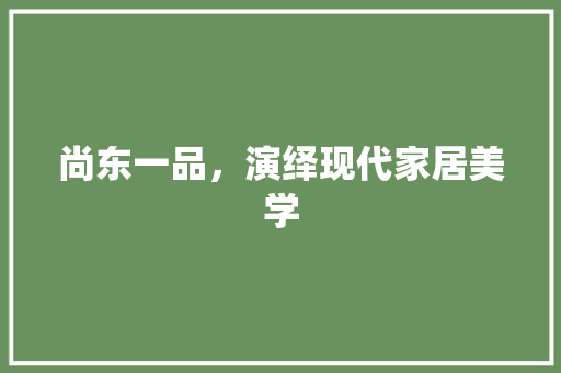 尚东一品，演绎现代家居美学