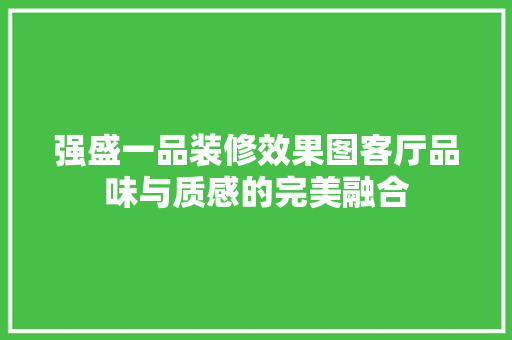 强盛一品装修效果图客厅品味与质感的完美融合