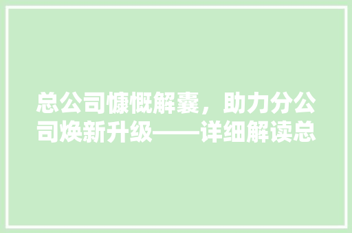 总公司慷慨解囊，助力分公司焕新升级——详细解读总公司装修款背后的战略意义
