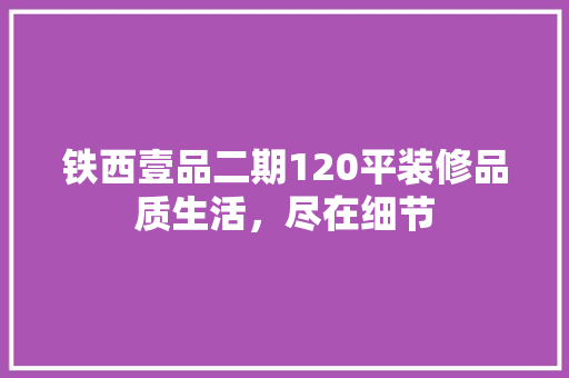 铁西壹品二期120平装修品质生活，尽在细节