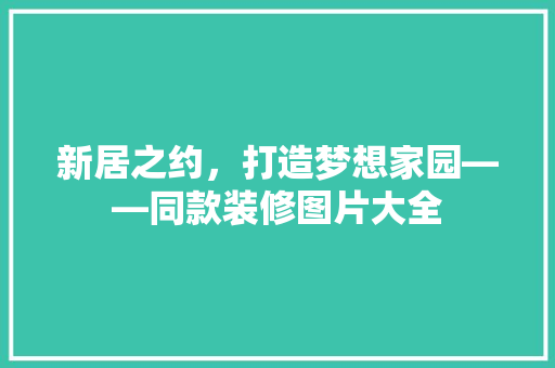 新居之约，打造梦想家园——同款装修图片大全