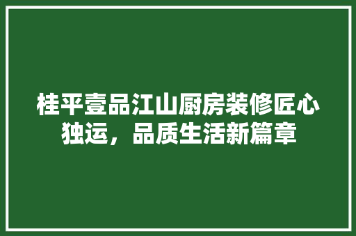 桂平壹品江山厨房装修匠心独运，品质生活新篇章