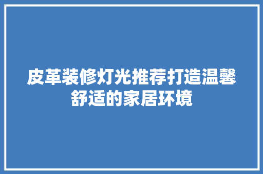皮革装修灯光推荐打造温馨舒适的家居环境