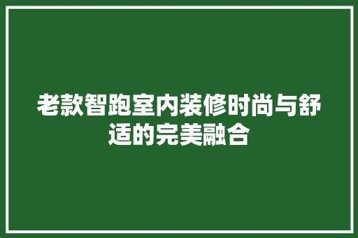 老款智跑室内装修时尚与舒适的完美融合