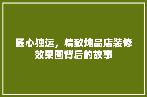 匠心独运，精致炖品店装修效果图背后的故事
