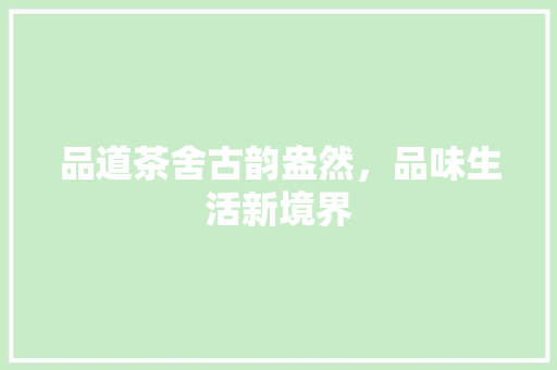 品道茶舍古韵盎然，品味生活新境界