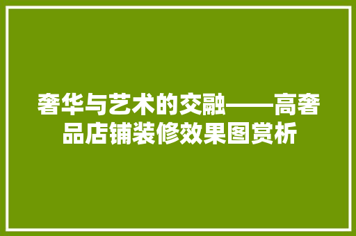 奢华与艺术的交融——高奢品店铺装修效果图赏析
