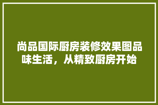 尚品国际厨房装修效果图品味生活，从精致厨房开始