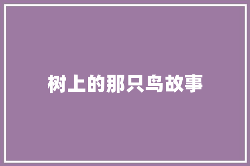 自费装修，打造梦想中的家——帮你租房子装修日记
