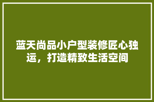 蓝天尚品小户型装修匠心独运，打造精致生活空间
