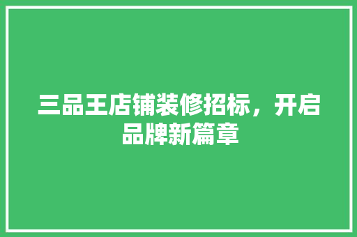 三品王店铺装修招标，开启品牌新篇章