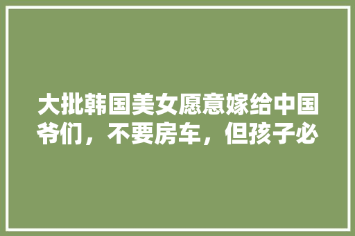 国风装修新款爆款洋气店铺，引领潮流新风尚