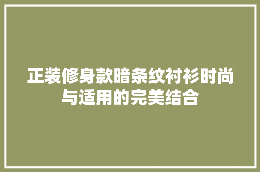 正装修身款暗条纹衬衫时尚与适用的完美结合