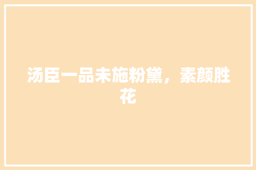 汤臣一品未施粉黛，素颜胜花