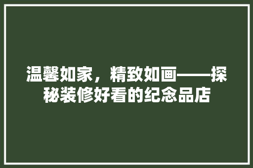 温馨如家，精致如画——探秘装修好看的纪念品店