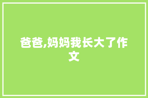 灌南海西尊品东西厅装修匠心独运，打造高端家居典范