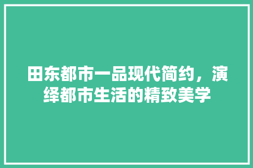 田东都市一品现代简约，演绎都市生活的精致美学