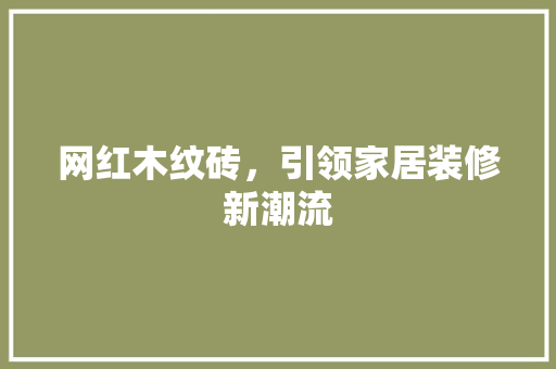 网红木纹砖，引领家居装修新潮流