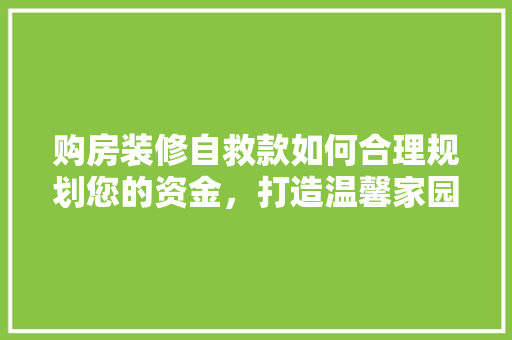 购房装修自救款如何合理规划您的资金，打造温馨家园