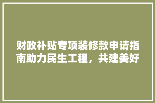 财政补贴专项装修款申请指南助力民生工程，共建美好家园
