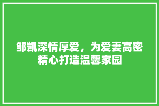 邹凯深情厚爱，为爱妻高密精心打造温馨家园