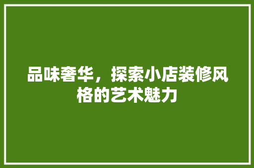 品味奢华，探索小店装修风格的艺术魅力
