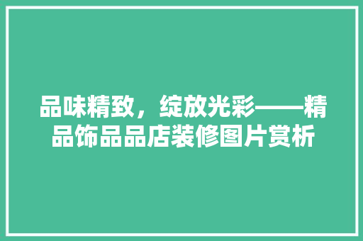 品味精致，绽放光彩——精品饰品品店装修图片赏析